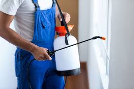 Emergency Pest Control Services in San Elizario, TX